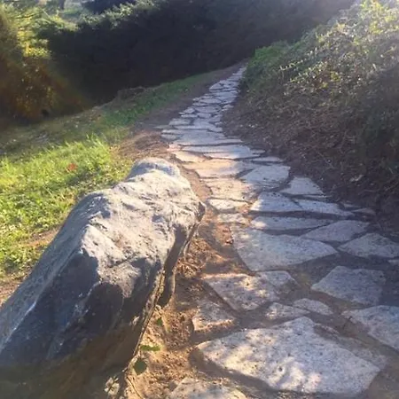 Casa Margot 네이베