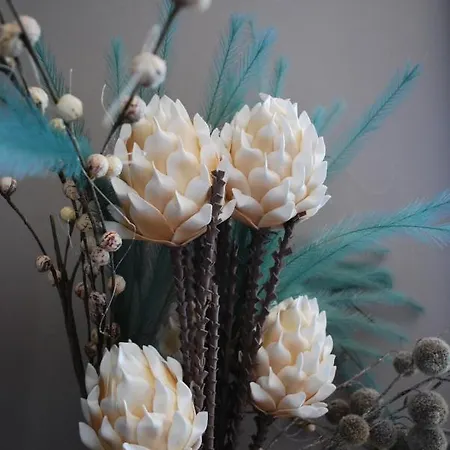 Casa Margot 3* 네이베