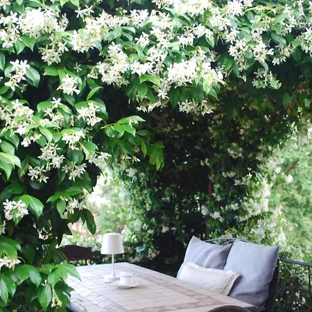 Casa Margot