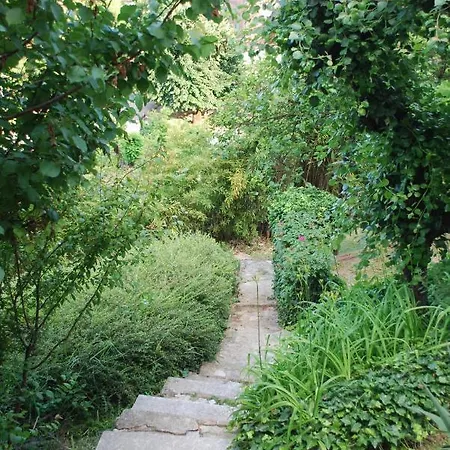 Casa Margot Bed & Breakfast Neive