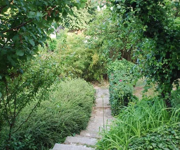 Casa Margot فندق مبيت وإفطار نيف